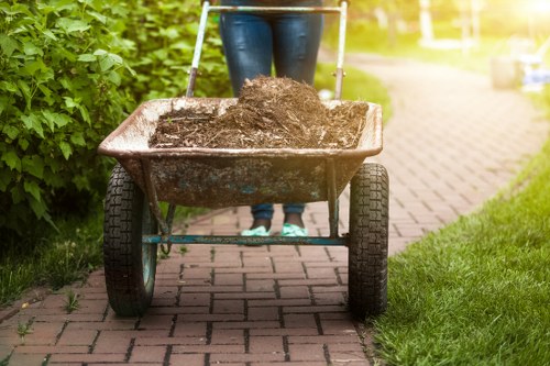 Eco-friendly house clearance practices in Mottingham